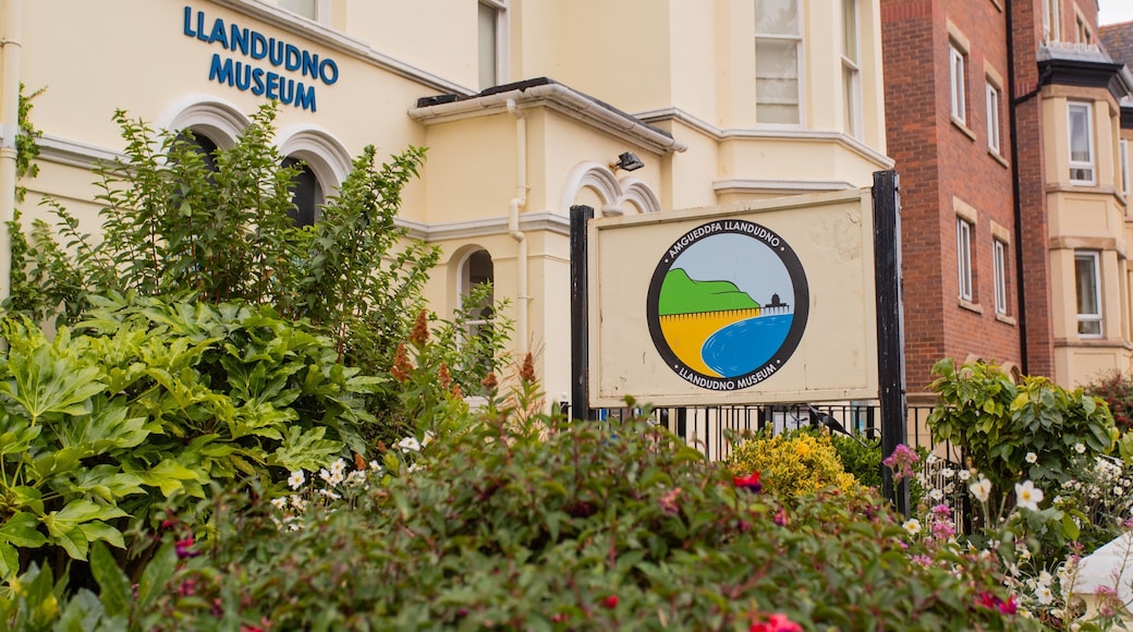 Llandudno Museum which includes wildflowers and signage
