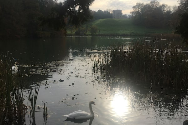 The Lakeside walk in the Newton Park campus of Bath Spa University is my favourite place to go between lectures.
The natural beauty of this campus is one of the reasons I chose to apply to this university. I still find it crazy how quickly I can feel immersed in the great outdoors, whilst still being close to the university buildings. Filled with swans, ducks, herons and a 15th century tower across the lake, there is plenty to sit back and appreciate.
#Trovember Photo Contest