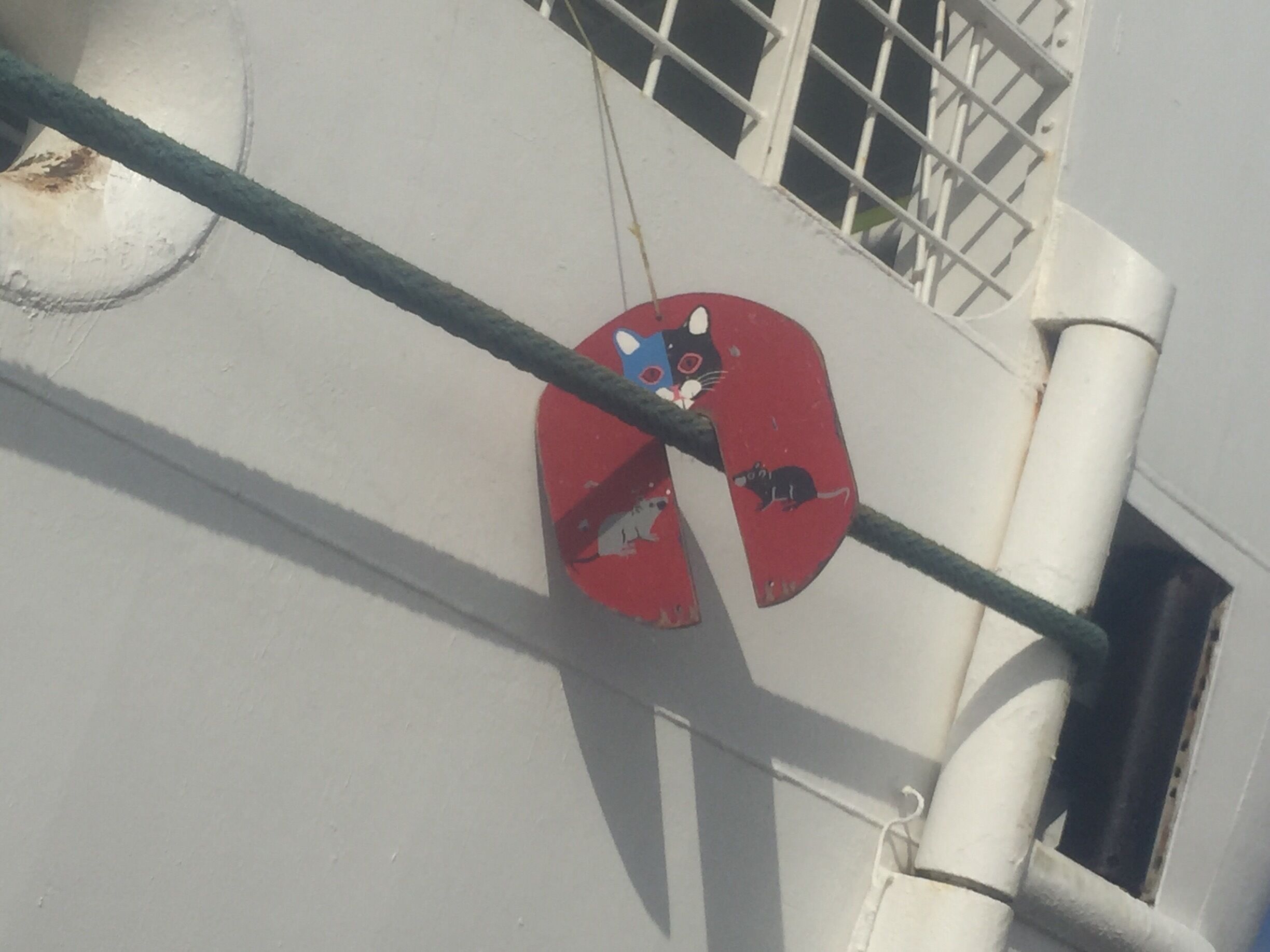 Apparently Princess Cruises does not take on freeloading rats. These cute guards were on all of the shore lines and they received lots of looks and conversations from disembarking customers. 