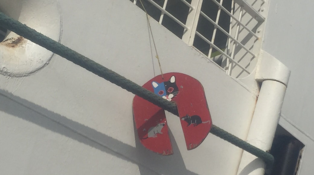 Apparently Princess Cruises does not take on freeloading rats. These cute guards were on all of the shore lines and they received lots of looks and conversations from disembarking customers.