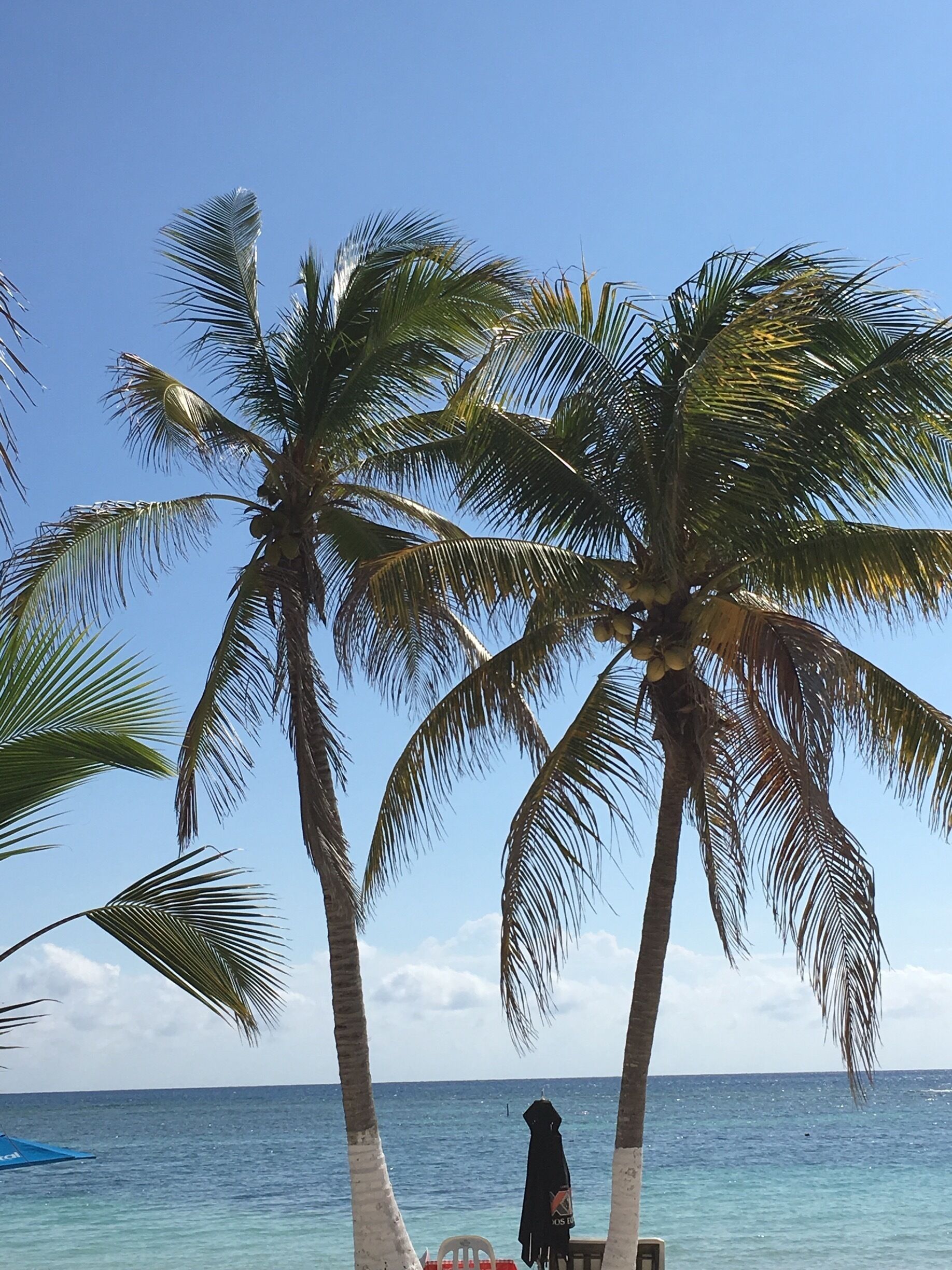 Very laid back at Yaya Beach under the shade of the palapa with my bride sipping a lime and beer.