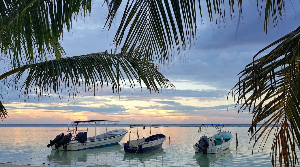 A real paradise with white sand, tourquise and clean water. Just relax and let your self go with the nature. #lifeatexpedia #weloveourmarkets #latam #mexico #quintanaroo #mahahual #beaches 🤗💙