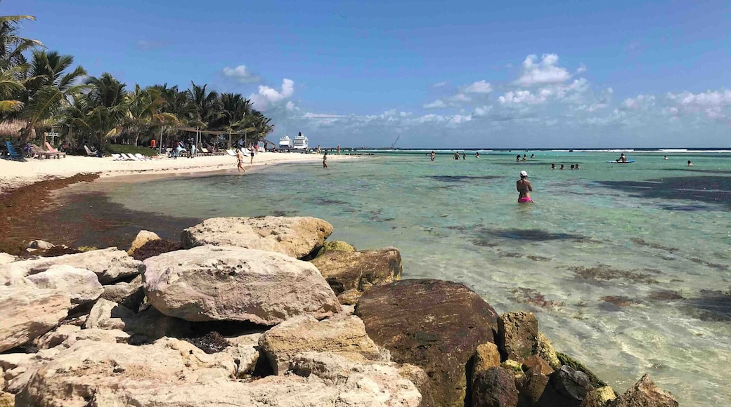 Beautiful day in Costa Maya. The snorkeling off the beach was wonderful.