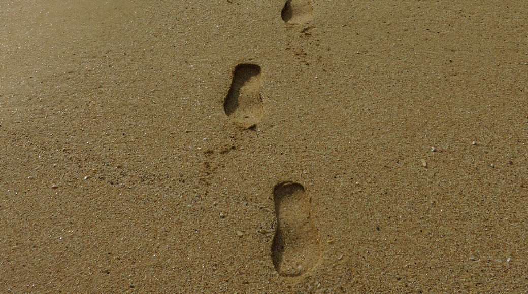 Footprints in the Sand Beautiful Beach at Dawn Desaru Beach Johor Malaysia
