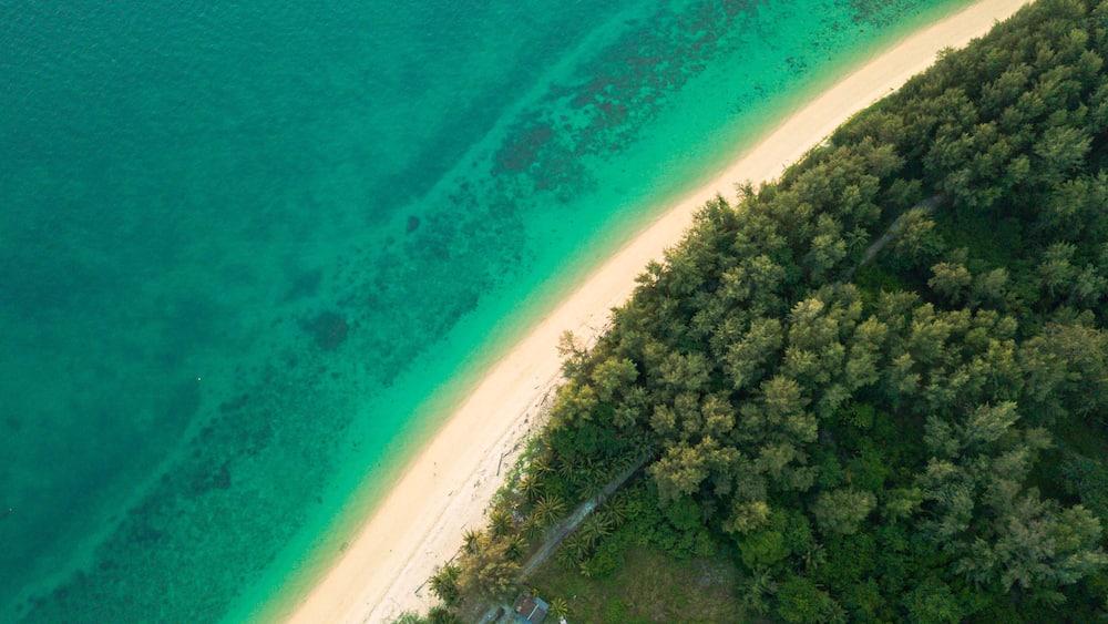 Ein türkisfarbener Strand mit klarem Wasser, einem Sandufer und einer dichten bewaldeten Küstenlandschaft.