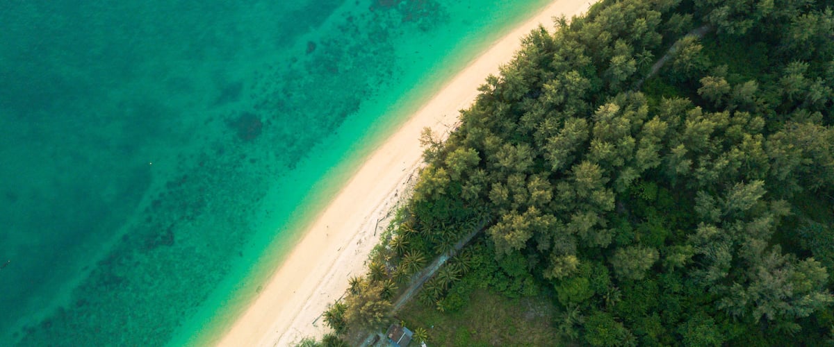 A turquoise beach with clear waters, a sandy shore, and a dense forested area.