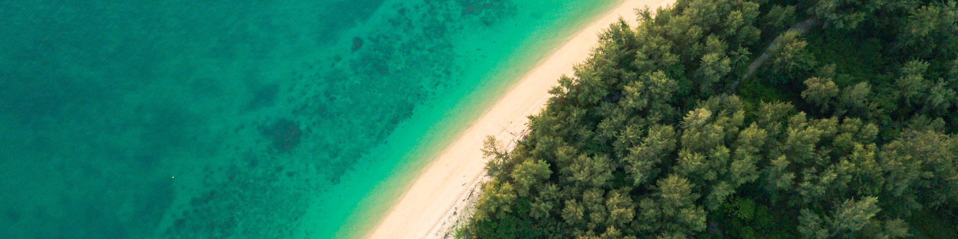 A turquoise beach with clear waters, a sandy shore, and a dense forested area.