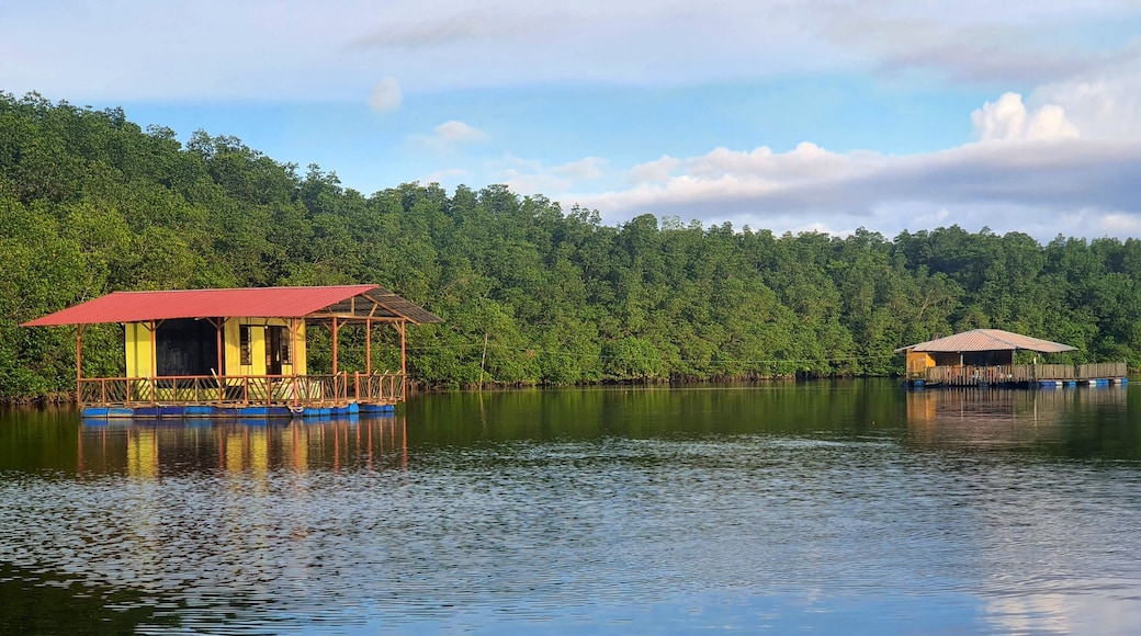 View of a river water and floating house in Sungai Lebam, Kota Tinggi, Johor, Malaysia.
