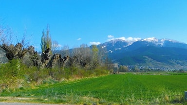 La plana de la Cerdanya amb la Tosa d'Alp i el Moixeró al fons, des de Soriguerola