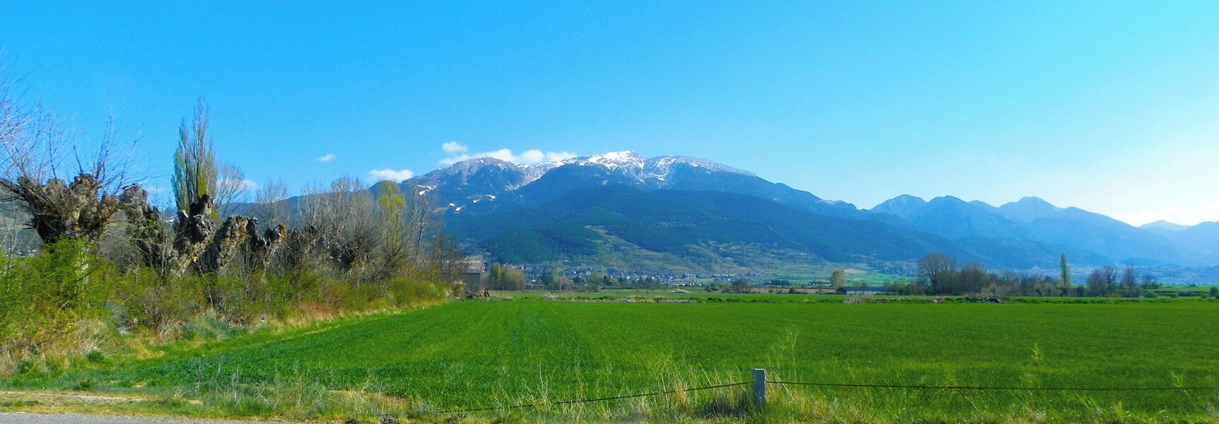 A green field with a mountain range in the background.