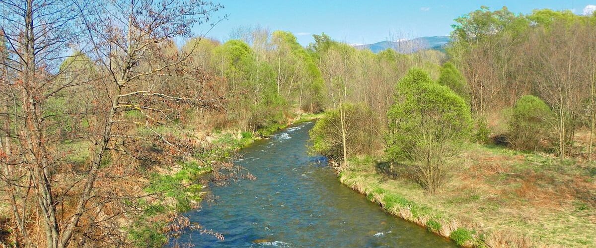Riu Segre des del pont de Soler, a Soriguera