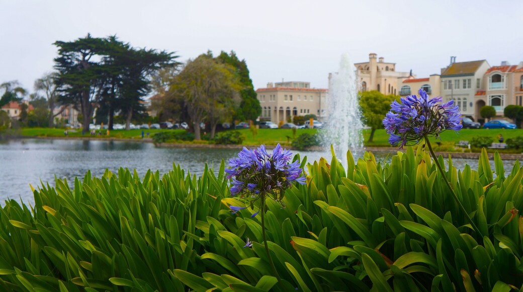 Barrio de Laurel Heights
