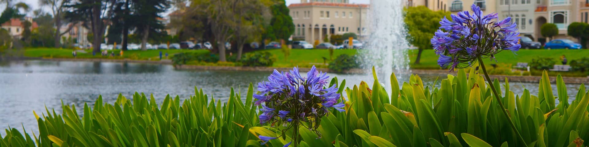 City Park, San Francisco, California, USA
