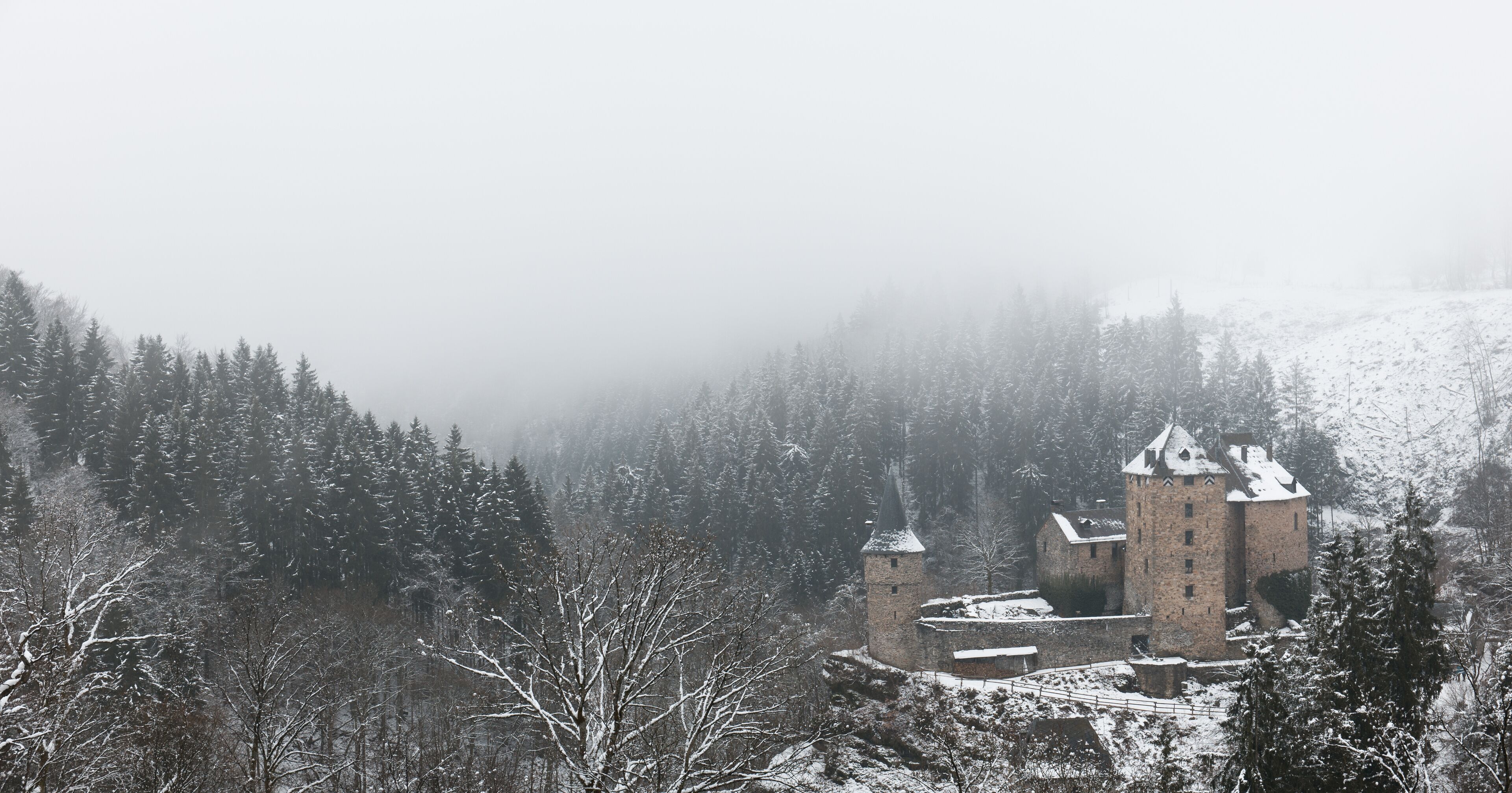 A medieval castle surrounded by snow-covered trees and a misty landscape.