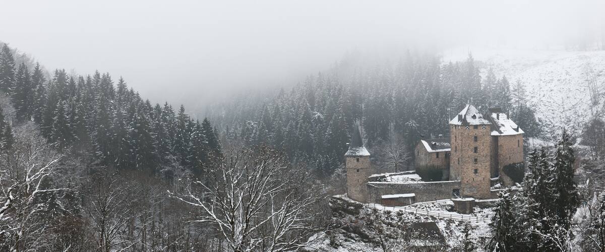 A medieval castle surrounded by snow-covered trees and a misty landscape.