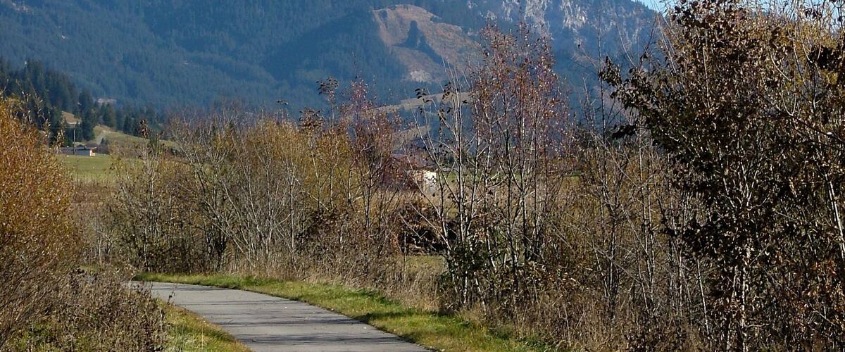 A mountain path with a view of rugged mountains in the background.