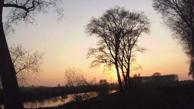 One of my favorite spots in the world. A part that's cut of from the river Leie. high trees. Gras. And untouched nature. What else do you need. #lovemycity