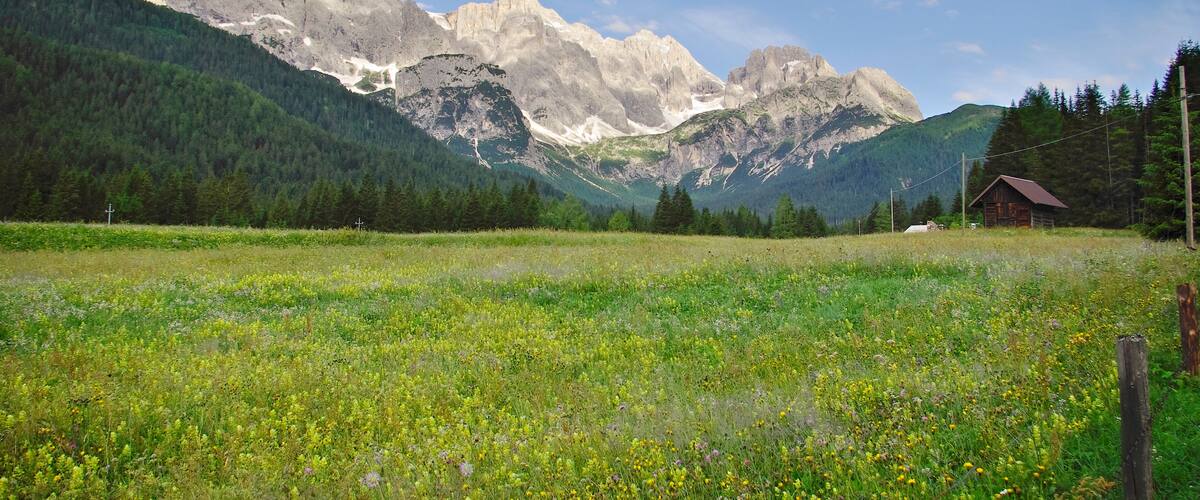 A mountainous landscape with a field of wildflowers in the foreground and a wooden cabin in the distance.