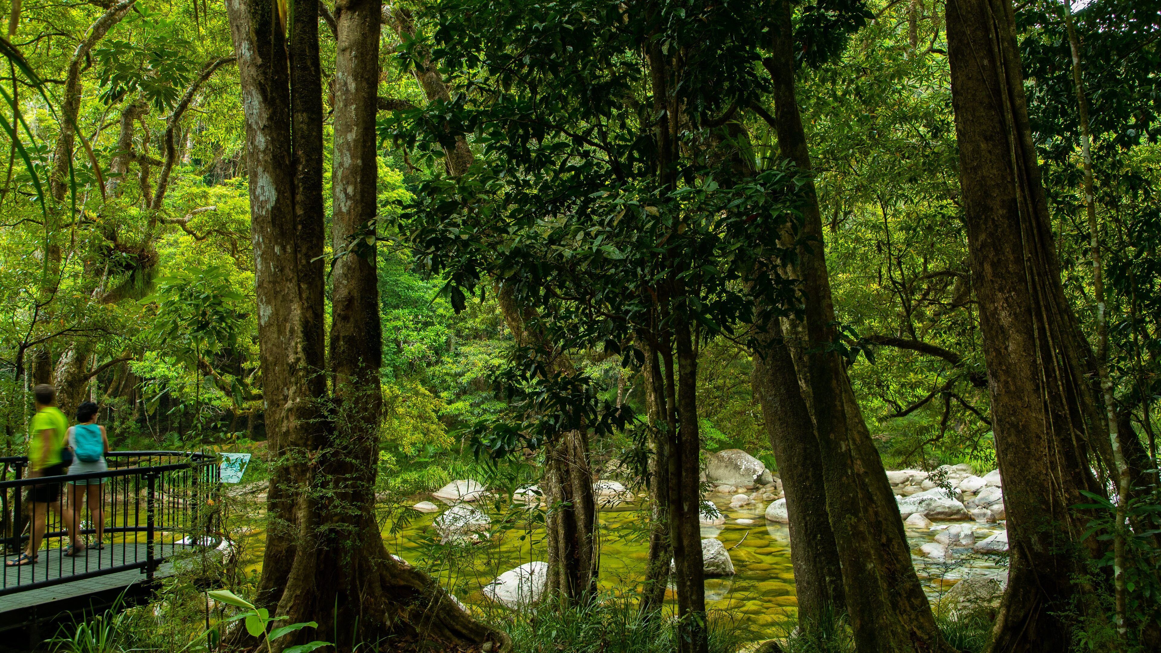 Mossman Gorge