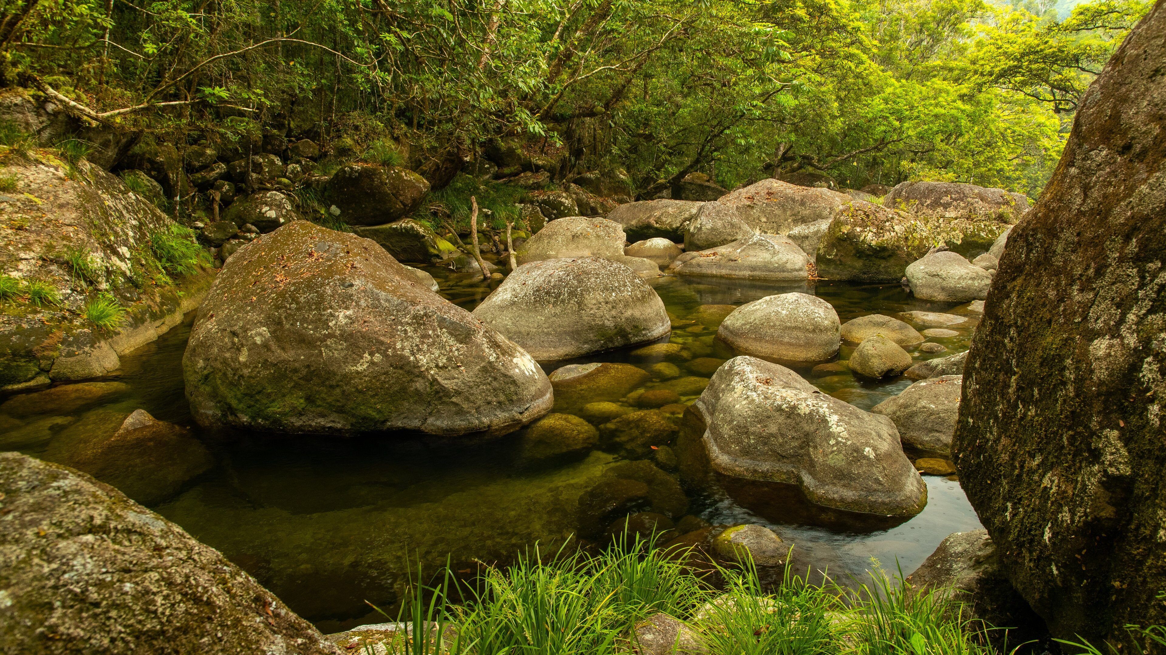 A rocky stream surrounded by lush greenery.