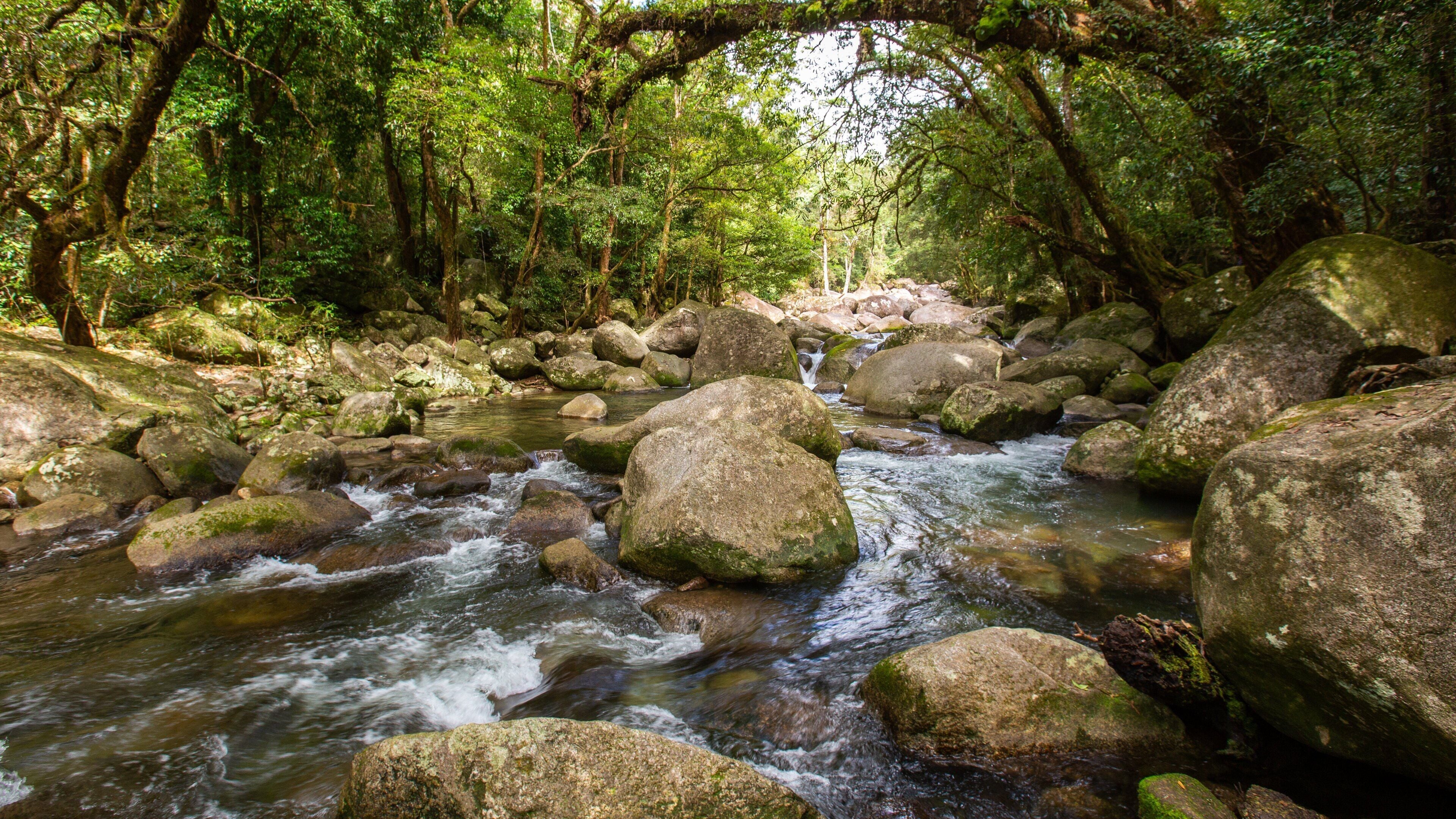 Mossman Gorge which includes a river or creek