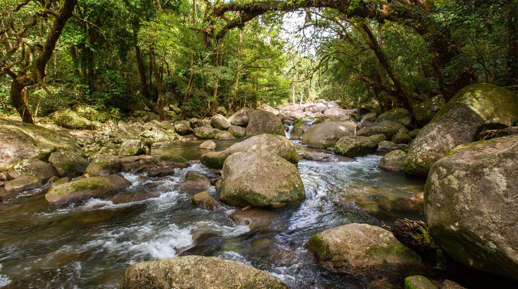 Mossman Gorge which includes a river or creek