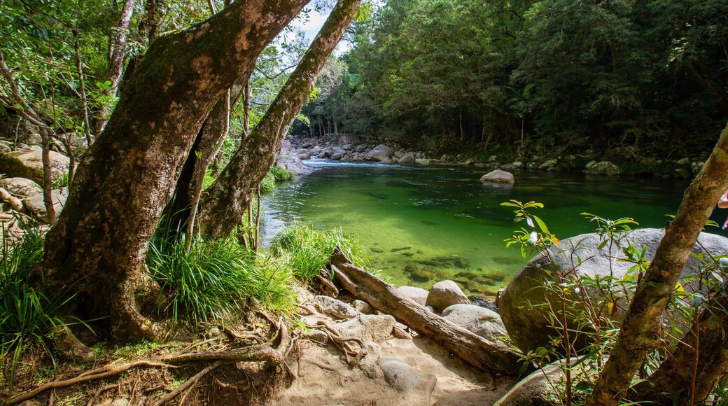 Mossman Gorge showing a river or creek
