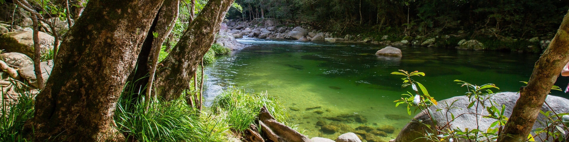 Mossman Gorge showing a river or creek