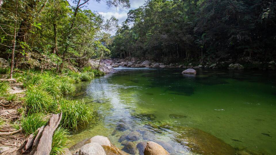 A clear river surrounded by dense green forest and rocks.