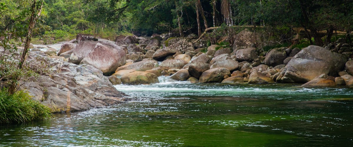 Mossman Gorge featuring a river or creek