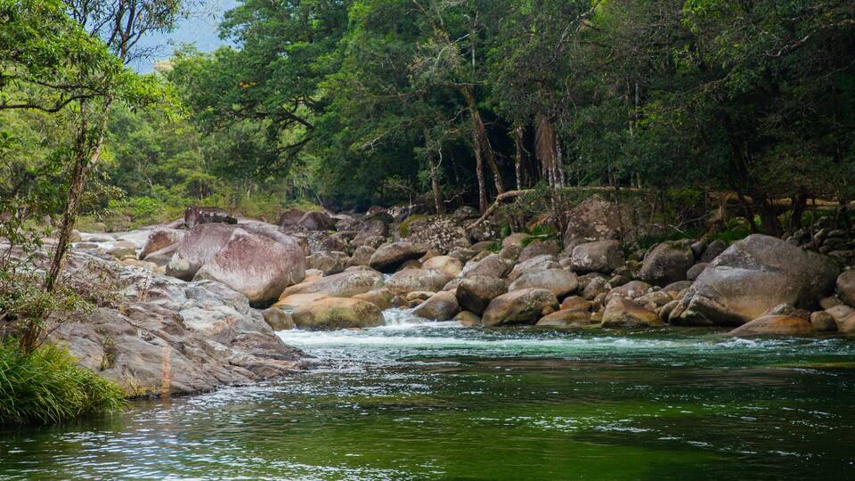 A river flowing through a rocky landscape with large boulders and dense green foliage.