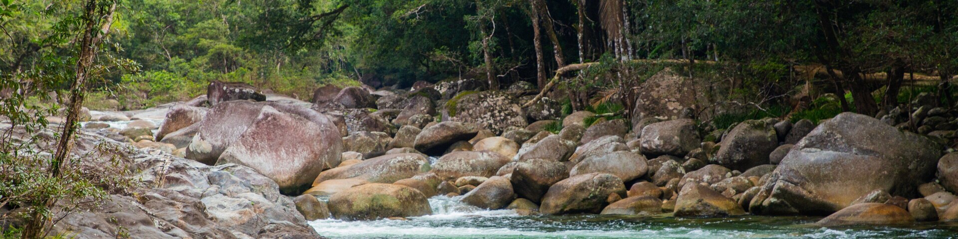 Mossman Gorge featuring a river or creek