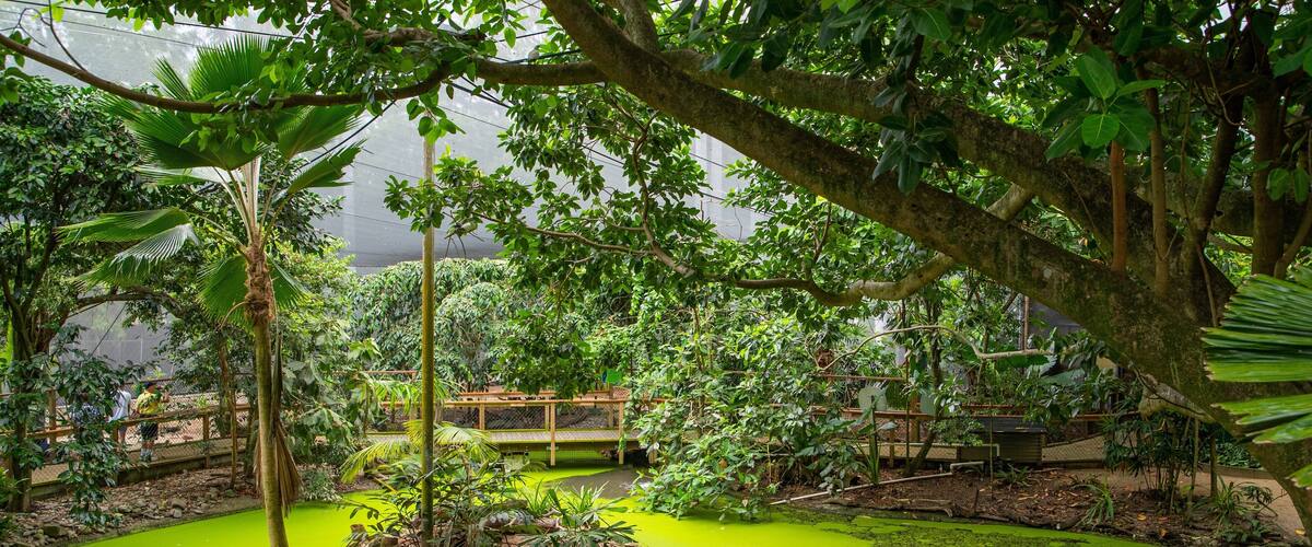 Wildlife Habitat which includes a pond