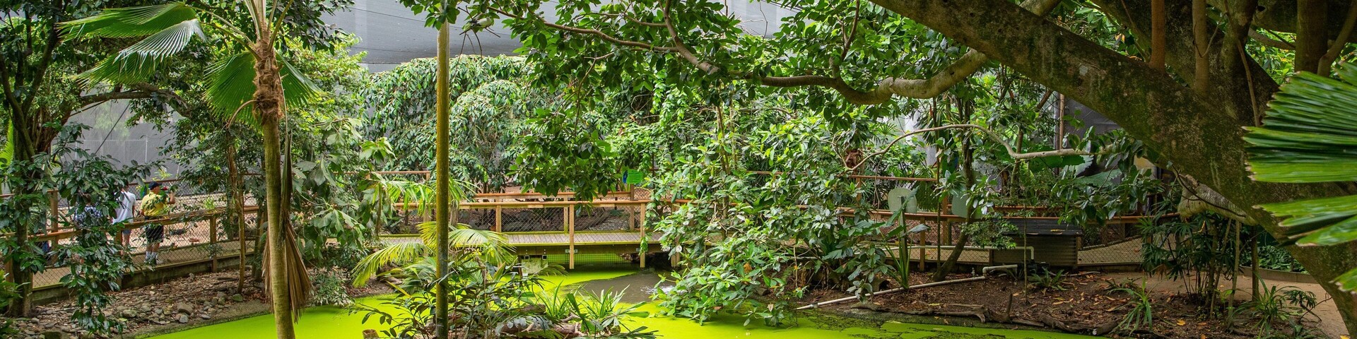 Wildlife Habitat which includes a pond