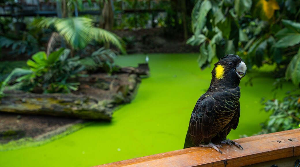 Wildlife Habitat which includes bird life and zoo animals