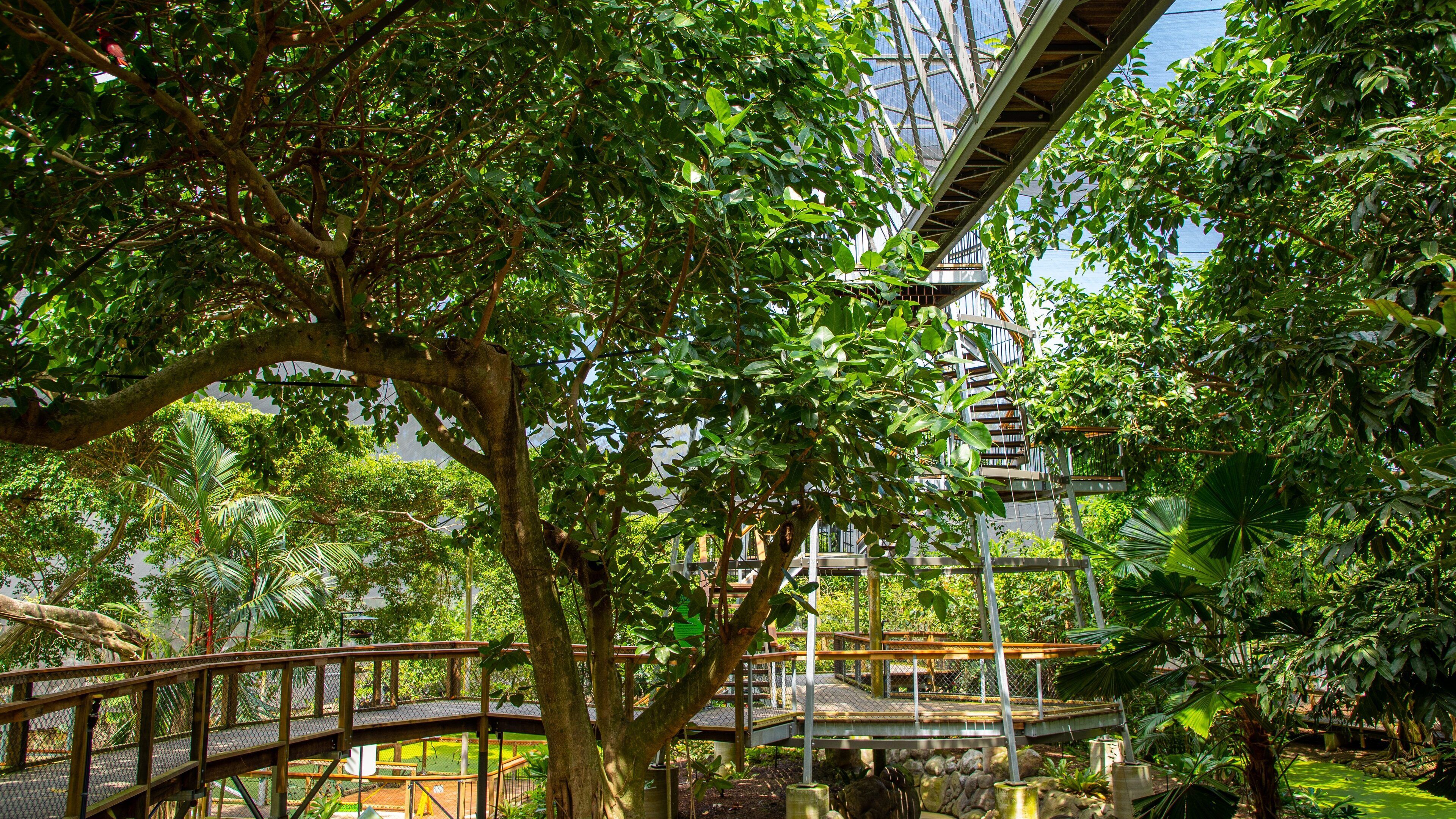 Wildlife Habitat which includes a garden and zoo animals