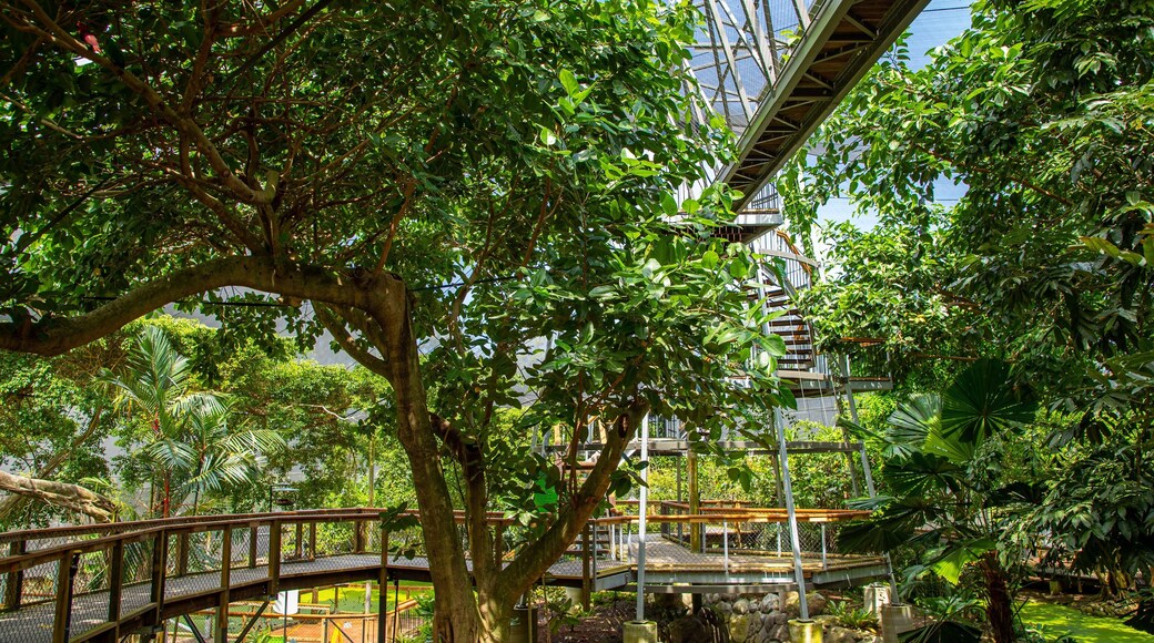 Wildlife Habitat which includes a garden and zoo animals