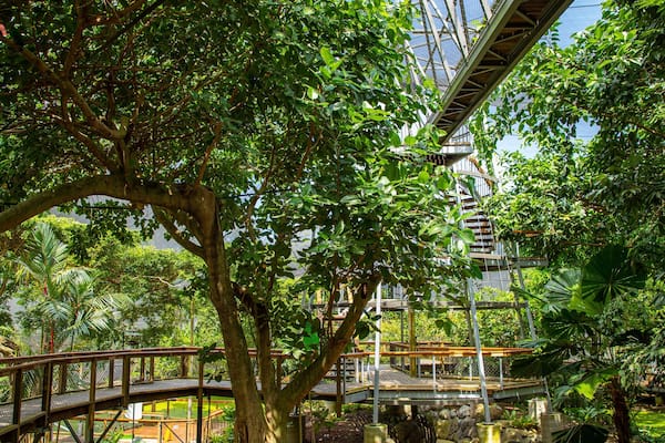 Wildlife Habitat which includes a garden and zoo animals