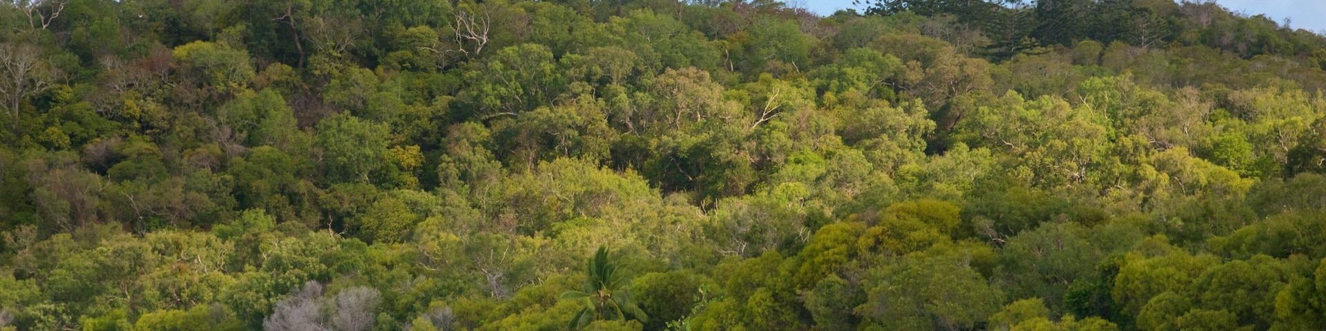 Hamilton Island featuring tropical scenes, a beach and aircraft