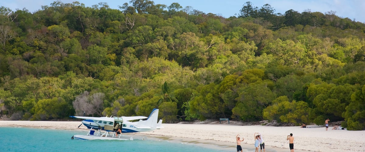 A seaplane on a beach with people in the water and a forested hill in the background.