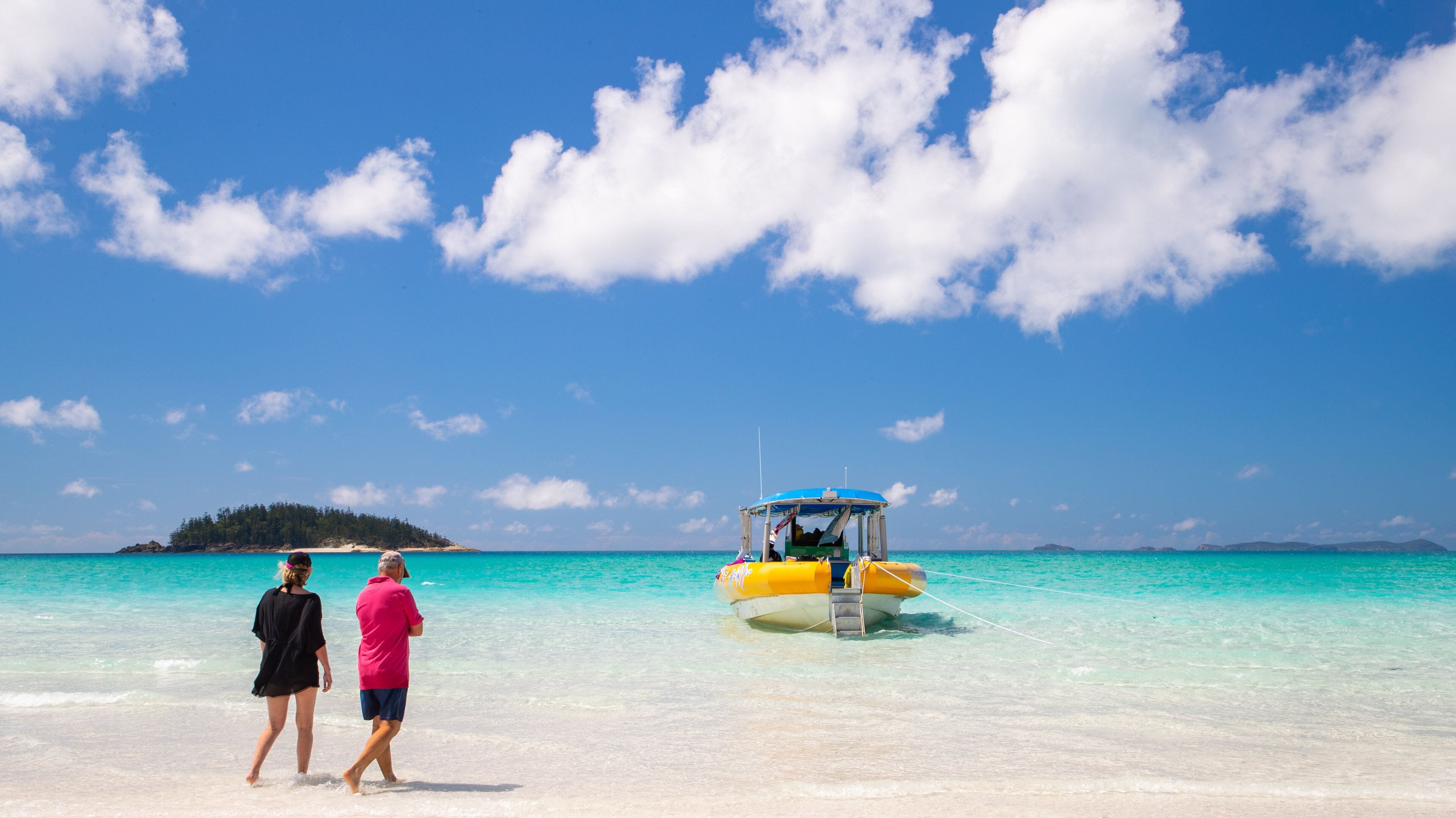 Whitehaven Beach which includes tropical scenes and general coastal views as well as a couple
