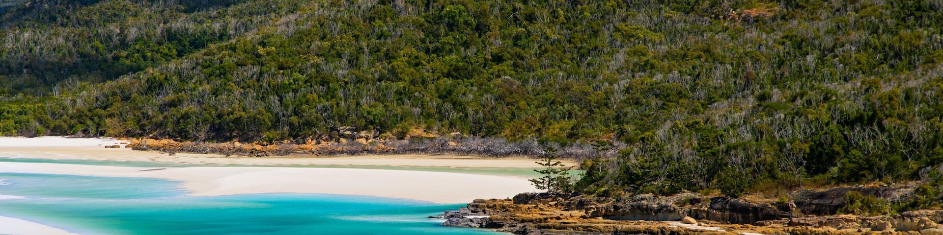 Whitehaven Beach which includes tropical scenes and general coastal views
