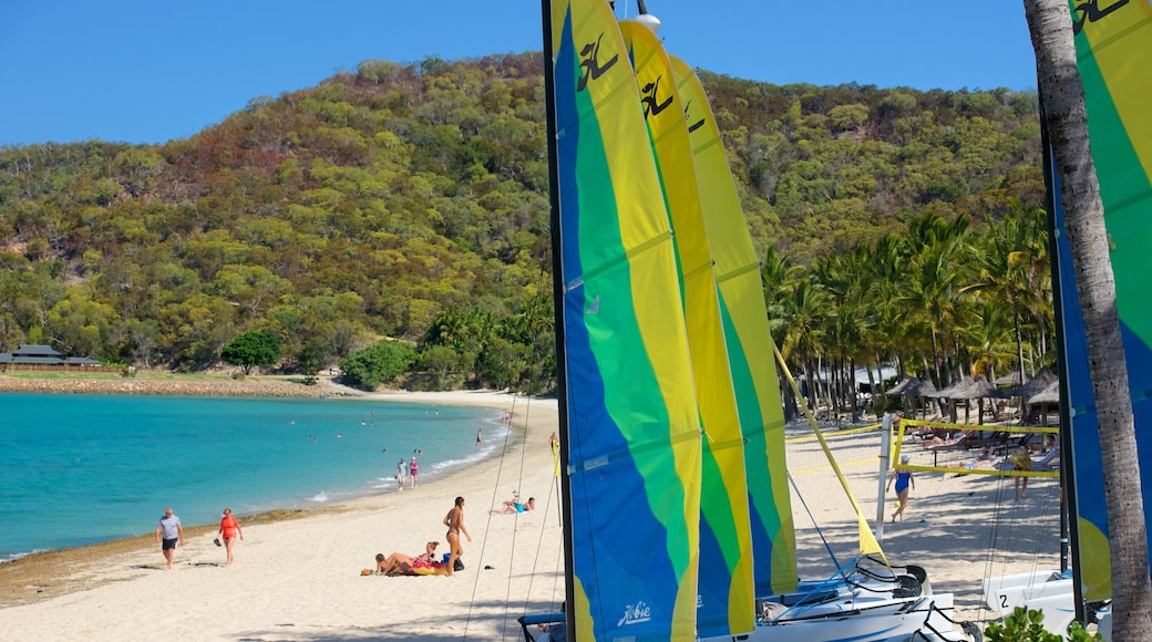 Catseye Beach mostrando vela e uma praia assim como um pequeno grupo de pessoas