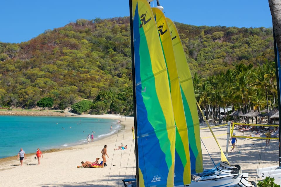 A beach with clear turquoise water, people sunbathing, and sailboats with colorful sails.