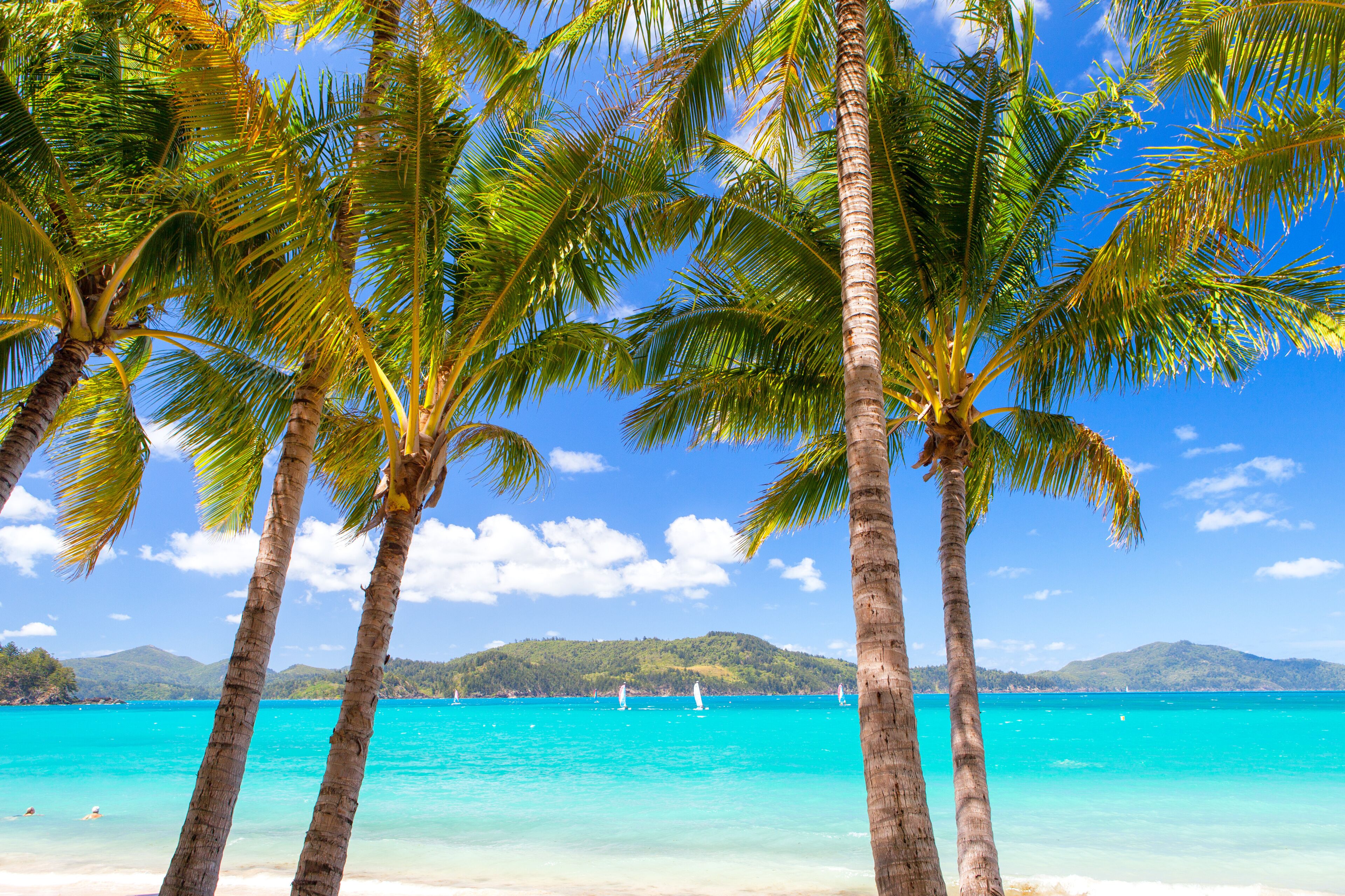 Catseye Beach on Hamilton Island in Queensland, Australia