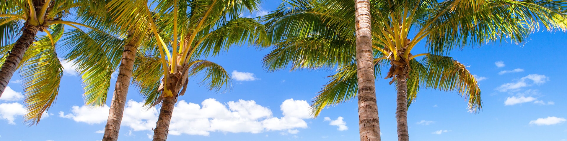 Una playa con palmeras, agua turquesa cristalina y montañas a lo lejos.