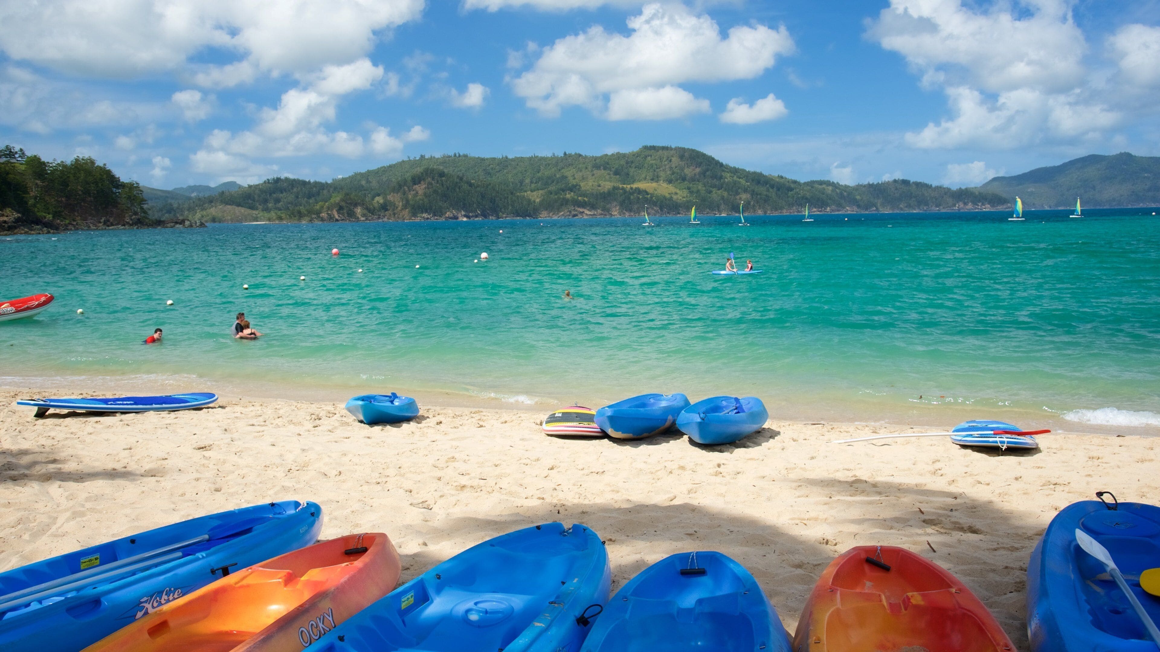 キャッツアイ ビーチ どの含み 自然の風景, ビーチ と カヤックあるいはカヌー