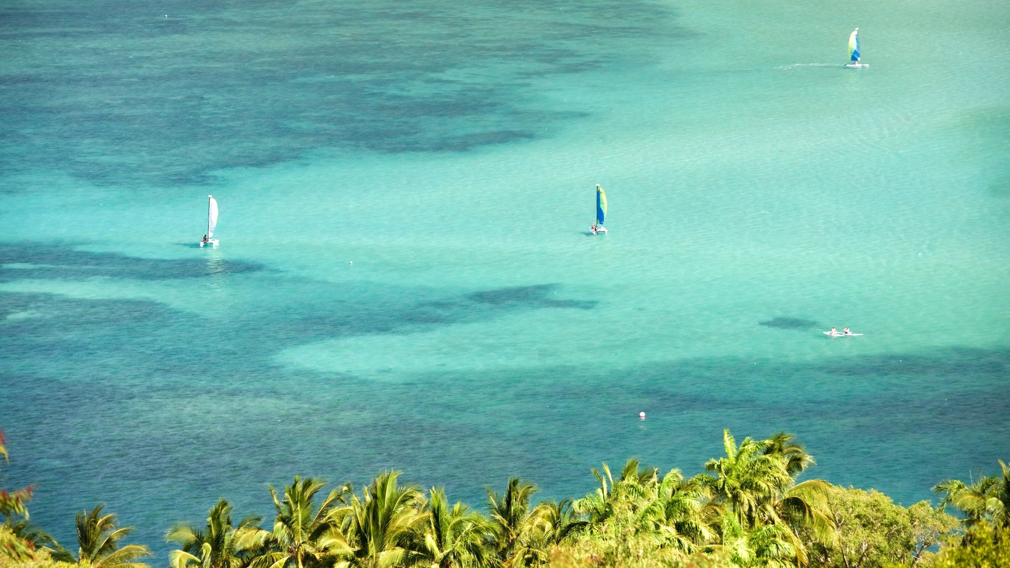 Catseye Beach showing sailing and general coastal views