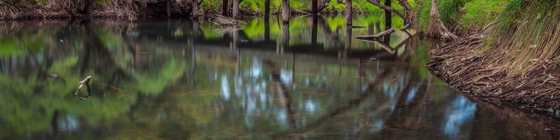 Cool evening on the estury in Pinjara