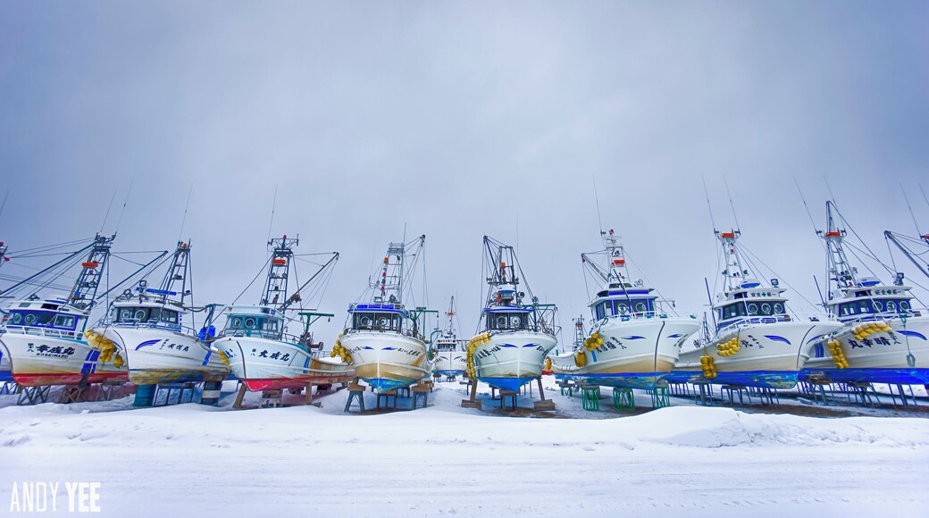 Lake Saroma, Hokkaido.
Possibly one of the most random places around the world I have visited during a road trip. A frozen lake on the eastern coast of Hokkaido during winter. Away from the main towns and tourist destinations, I think I remember reading that a tourist highlight is a prison somewhere down the road….
Regardless, a frozen lake and a fishing town that is hibernating during the middle of winter makes for some unique and beautiful images
#troveon #japan #saroma #winter #hokkaido #fishing #frozen @traveltherenext @Visit_Japan @TheTokyoTimes
